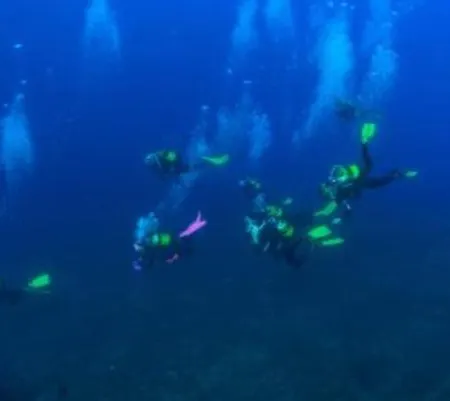 Blaue Haus Apartament *